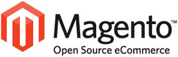 Magento Shop updaten