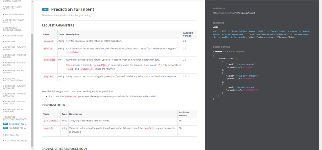 Salesforce Einstein NLP Developer Dokumentation